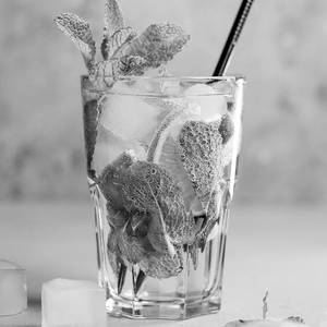 Virgin Mojito 