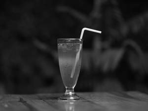 Kiwi Granita (330 ml)