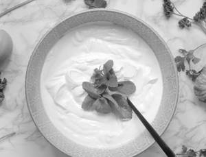 Plain Curd