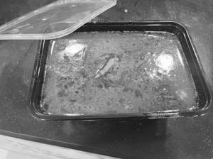 Chicken Masala