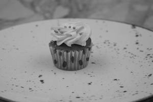 Vanilla Mini Cup Cake  2pcs