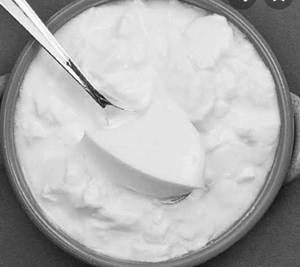 Plain Dahi