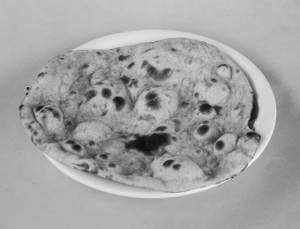 Plain Roti