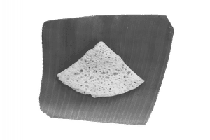 Tandul Ghavan