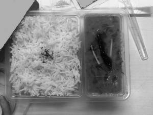 Dal Tadka + Rice