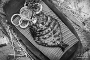 Tandoori Fish 