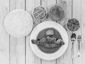 Telapiya Fish Meal