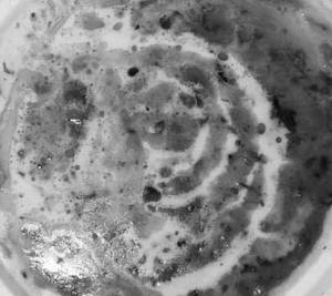 Dal Makhani