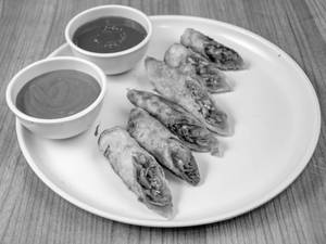 Veg Spring Roll