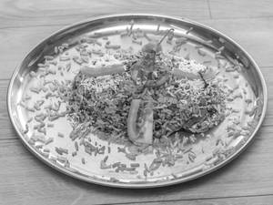 Veg Biryani