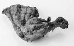 Tandoori Leg (1 Piece)