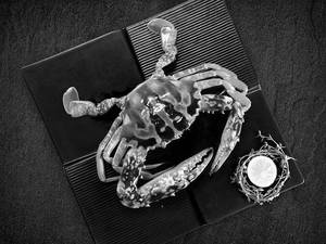 Sea Crab