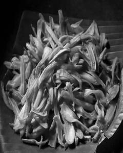 Jack Fruit Chips