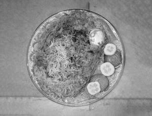 Mutton Biryani With Egg