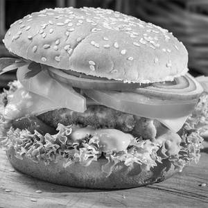 Veg Cheese Burger