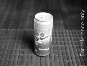 Schweppes Tonic Water