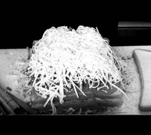 Cheese Sada Sandwich
