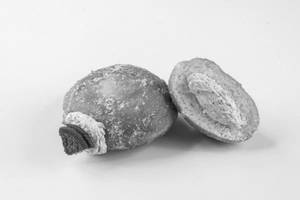 Cookies N Cream Doughnuts (eggless, Box Of 6)