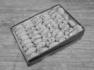 Peda