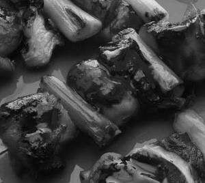 Chicken Yakitori [Yakinuku B B Q Sauce Grilled]