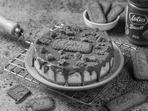 Lotus Biscoff Newyork Cheese Cake