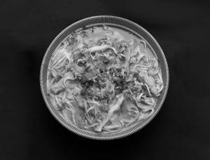 Chicken Mushroom Soup Chow 