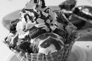Nutella Fudge Ice Cream