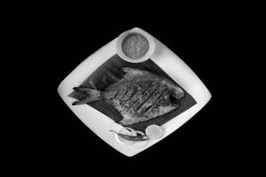 Pomfret Tawa Fry Small
