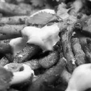 Cheese Fries