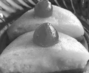 MALAI SANDWICH 250GM