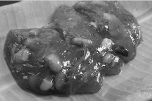 Wheat Halwa