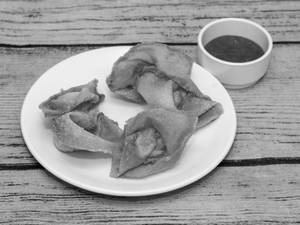 Chicken Fried Wonton