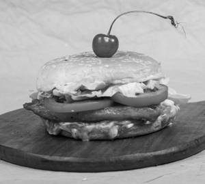 Crispy Chicken Burger