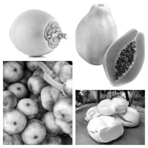Tender Coconut Papaya Within Nungu (750 Ml)