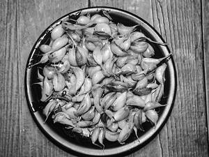 Garlic Fry