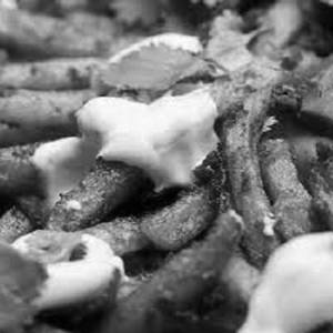 Cheese French Fries