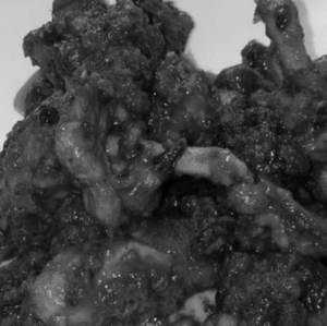 Chicken Kassa