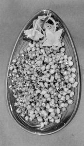Crispy Corn