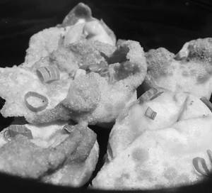 Asparagus Cream Cheese Wontons