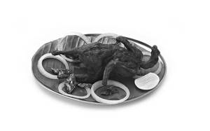 Kada Fry (quail)