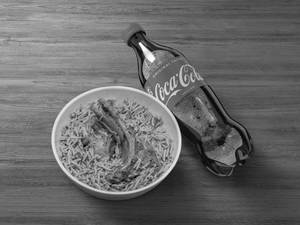 Mutton Biryani + Coke(250 Ml)  Comboo