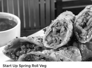 Veg Spring Roll