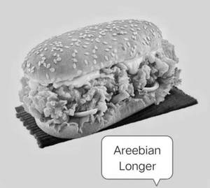 Arabian Chicken Longer Burger