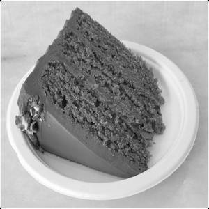 PISTACHIO / CHOC CAKE SLC