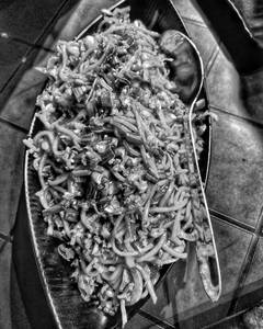 Veg Schzwan Noodles