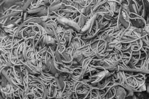 Chicken Hakka Noodles