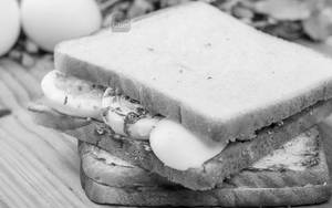 Boiled Egg Masala Cheese Sandwich