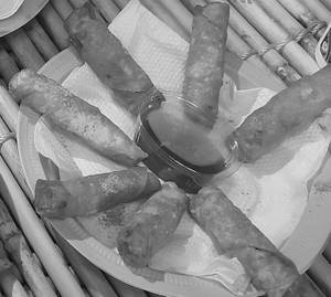 Spring Roll