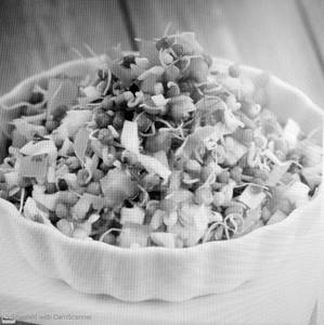 Green Gram Sprouts (molake Masala)