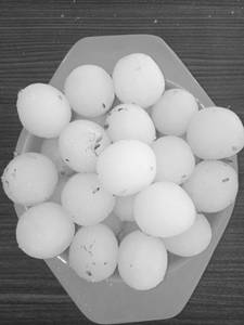 White Rasbhari